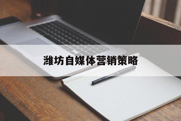 潍坊自媒体营销策略(自媒体营销策划方案怎么写)