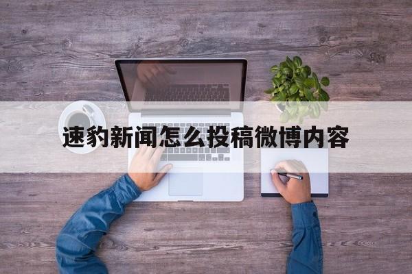 速豹新闻怎么投稿微博内容(速豹新闻怎么投稿微博内容啊)