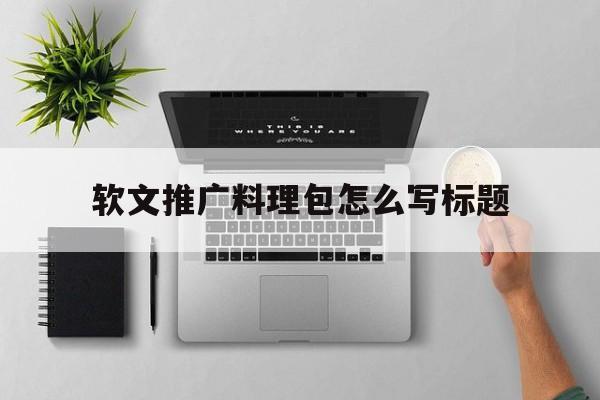 关于软文推广料理包怎么写标题的信息