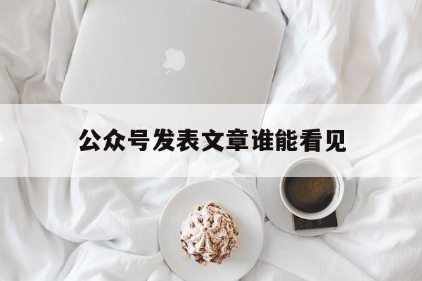 公众号发表文章谁能看见(发公众号信息,有人看得到吗?)