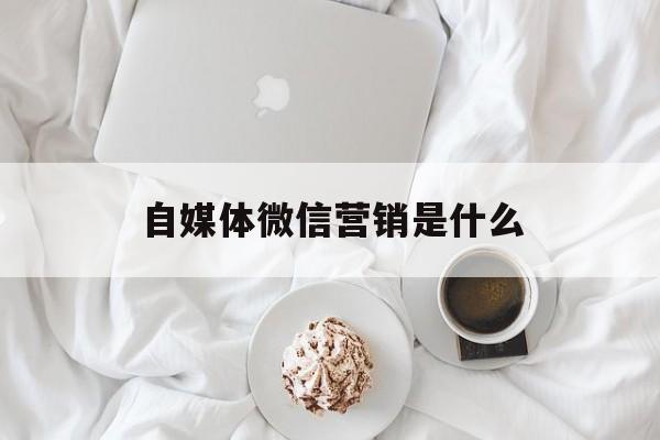 自媒体微信营销是什么(自媒体微信营销是什么行业)