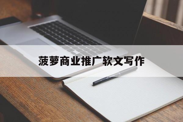 菠萝商业推广软文写作(互联网招商加盟广告文案怎么写)