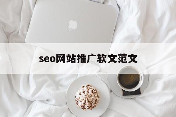 seo网站推广软文范文(seo网站营销推广全程实例)